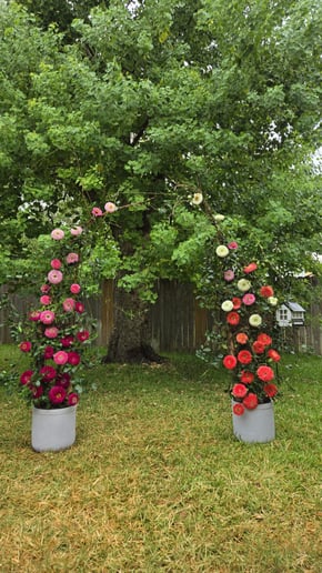 Gallery photo 7 of Yes Oui Si Flowers Studio
