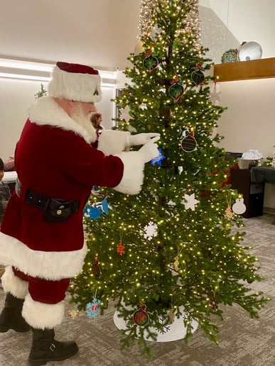 Gallery photo 4 of Your Own Santa