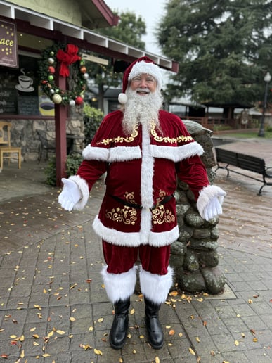 Gallery photo 1 of Your Santa Claus
