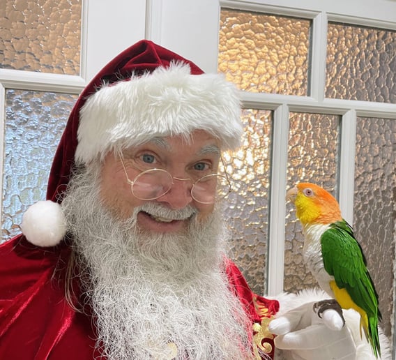 Gallery photo 5 of Your Santa Claus