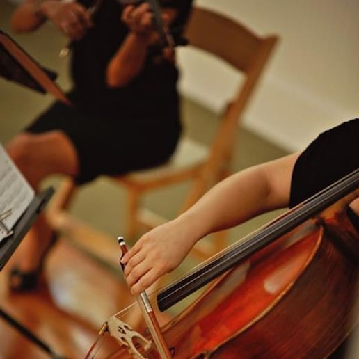 Gallery photo 2 of Leah - Wedding/Event Violinist