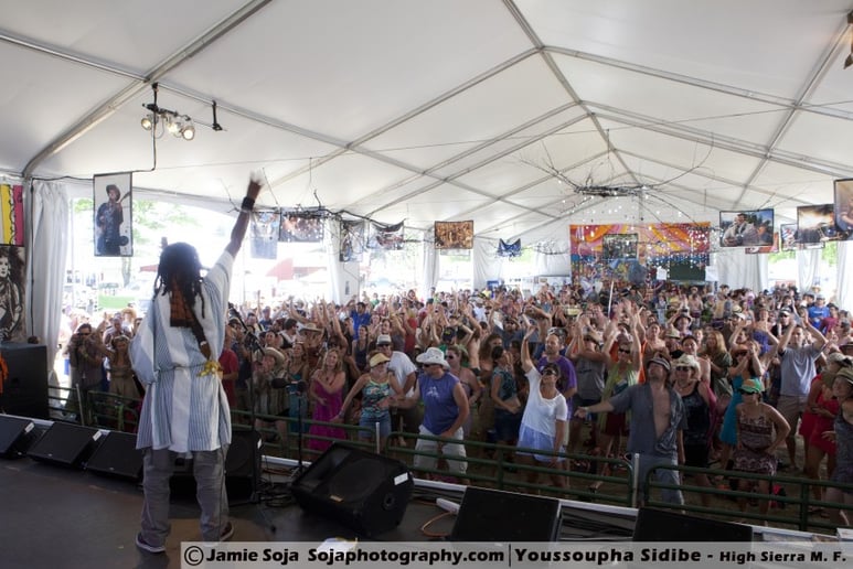 Gallery photo 1 of Youssoupha Sidibe Kora Player