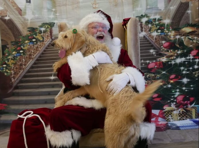 Gallery photo 10 of Yukon Santa LLC