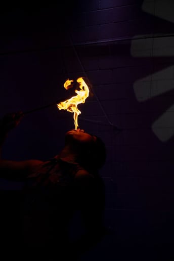 Gallery photo 4 of Cirque Essence