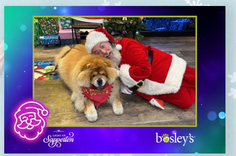 Gallery photo 8 of Yvr Santa