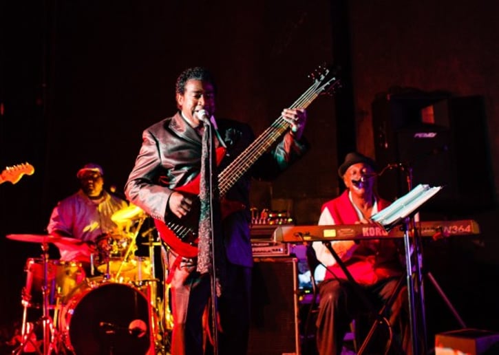 Gallery photo 10 of Z and The Party Faktory