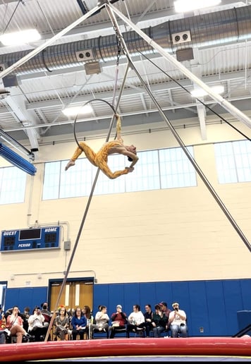 Gallery photo 9 of Zabo Circus Productions