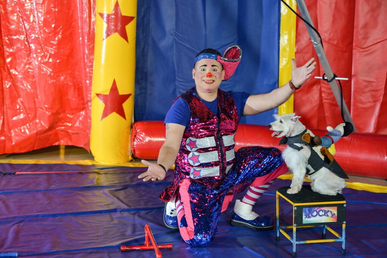 Gallery photo 12 of Zabo Circus Productions