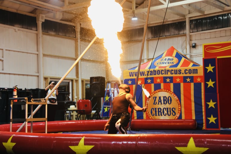 Gallery photo 31 of Zabo Circus Productions