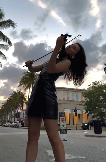 Gallery photo 12 of Zai Violin