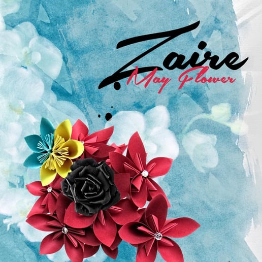Gallery photo 3 of Zaire