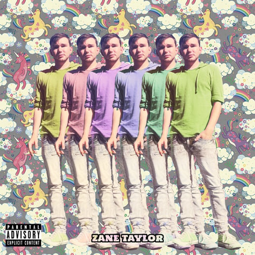 Gallery photo 2 of Zane Taylor Music
