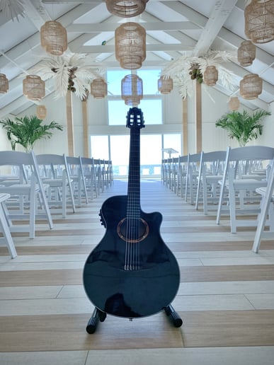 Gallery photo 6 of Zeb Johnson Guitar