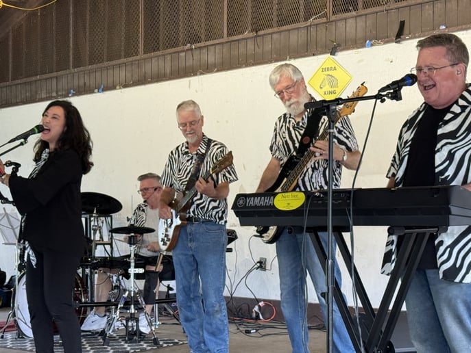 Gallery photo 1 of Zebra Crossing Band