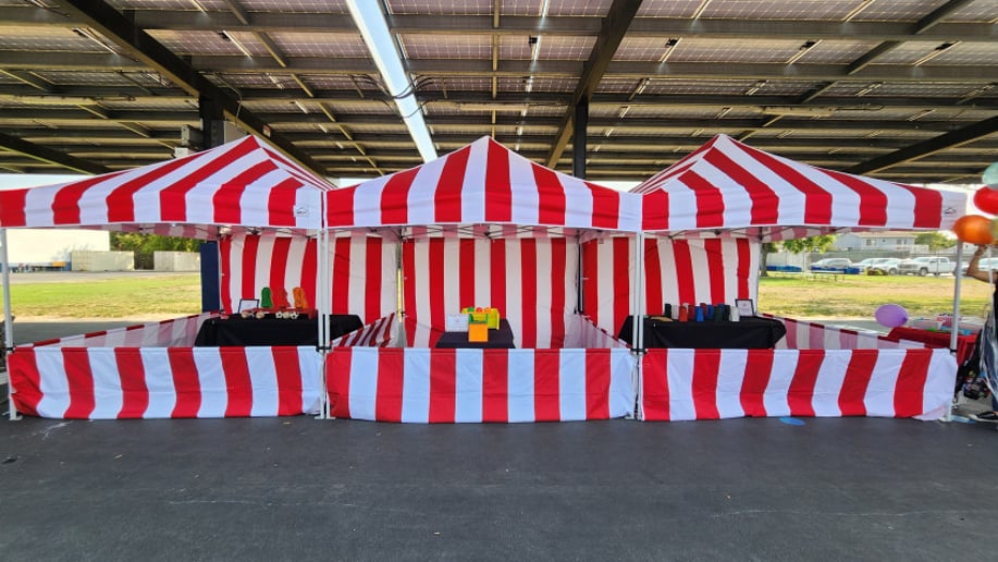 Gallery photo 4 of Zebra Entertainment and Events