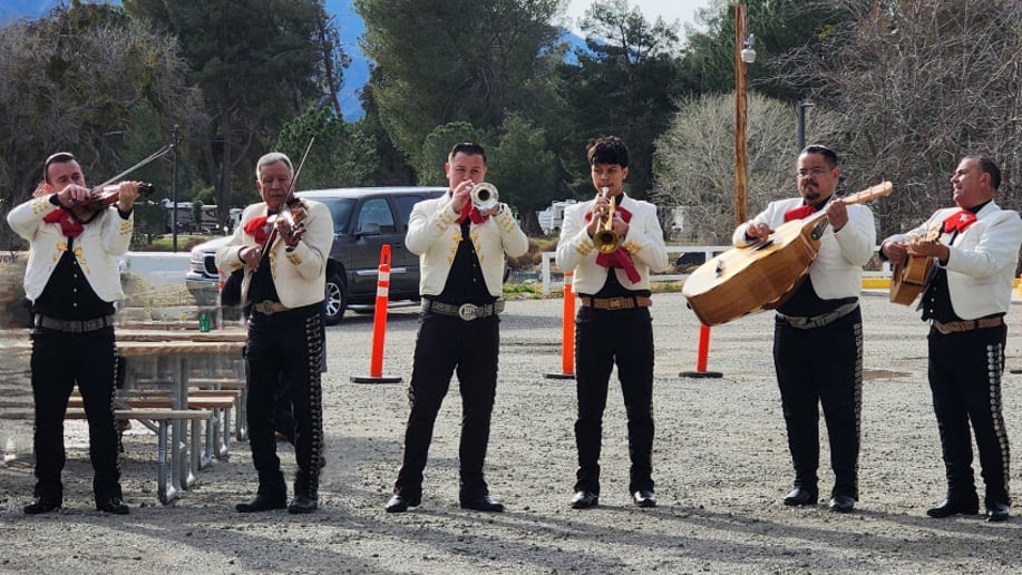 Gallery photo 8 of Zebra Entertainment and Events