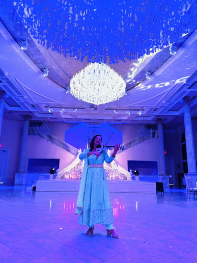 Gallery photo 16 of Zhenya PixieViolin