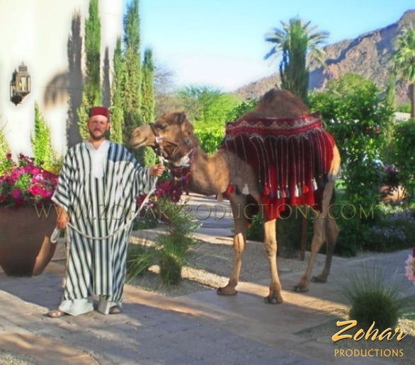 Gallery photo 1 of Zohar Productions Unique Party Themes