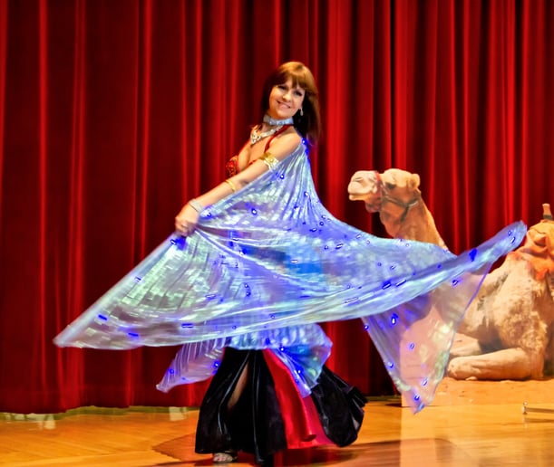 Gallery photo 1 of Zohar with Belly Dance Sarasota