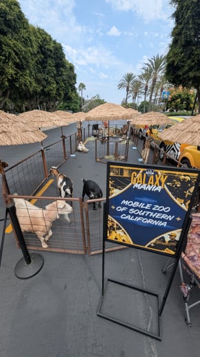 Gallery photo 3 of Mobile Zoo of Southern California