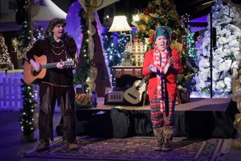 Gallery photo 10 of Zox of the Forest