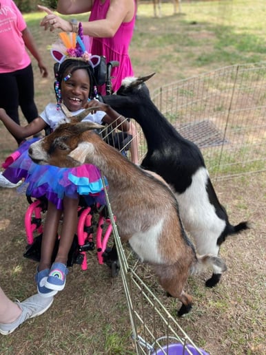 Gallery photo 4 of ZUBER - Mobile Petting Zoo