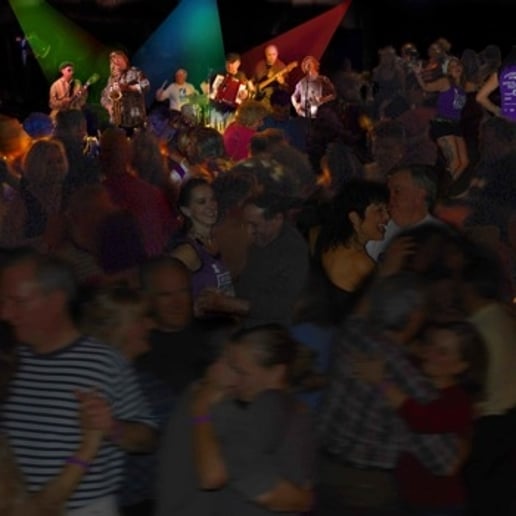 Gallery photo 2 of Zydeco-a-Go-Go