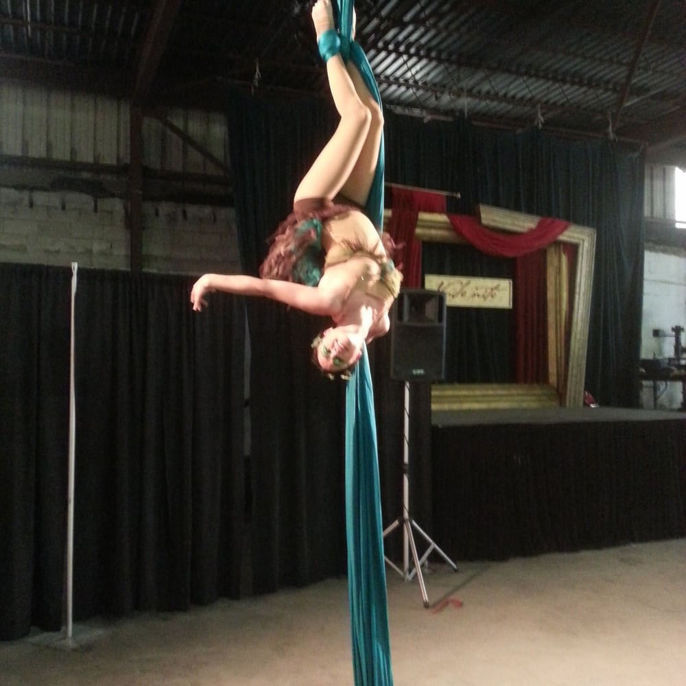 Profile thumbnail image for Aerial Artist