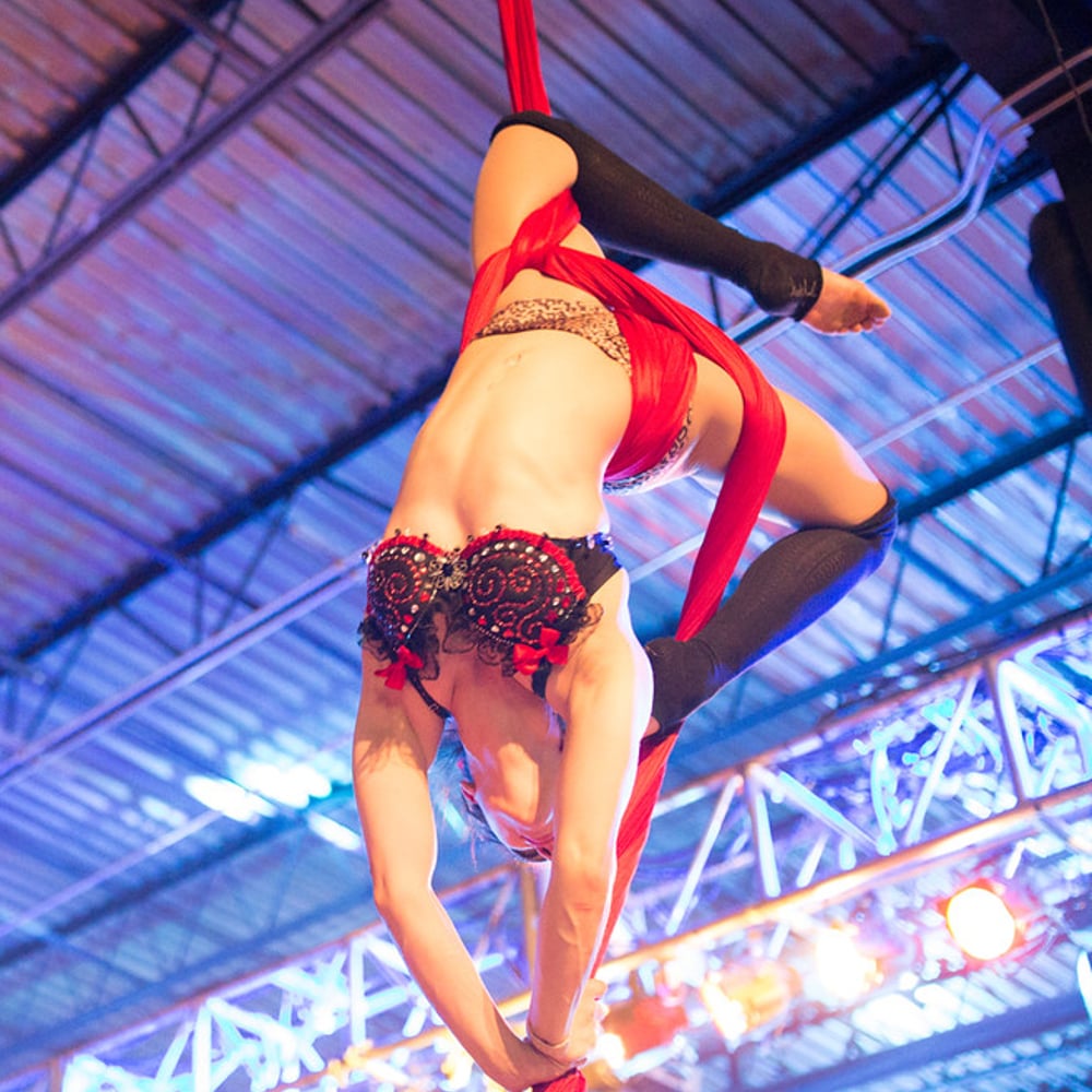Profile thumbnail image for Aerial Entertainment - Philadelphia