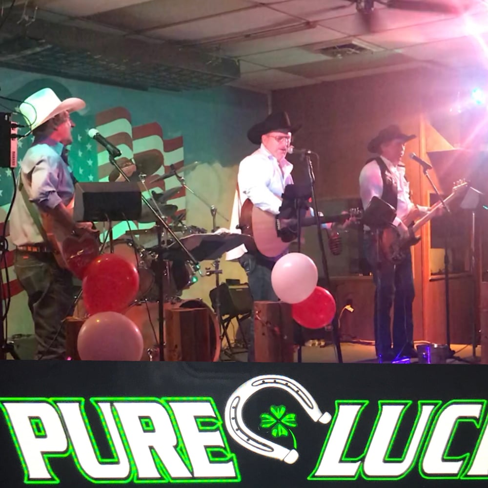 Profile thumbnail image for Pure Luck Band