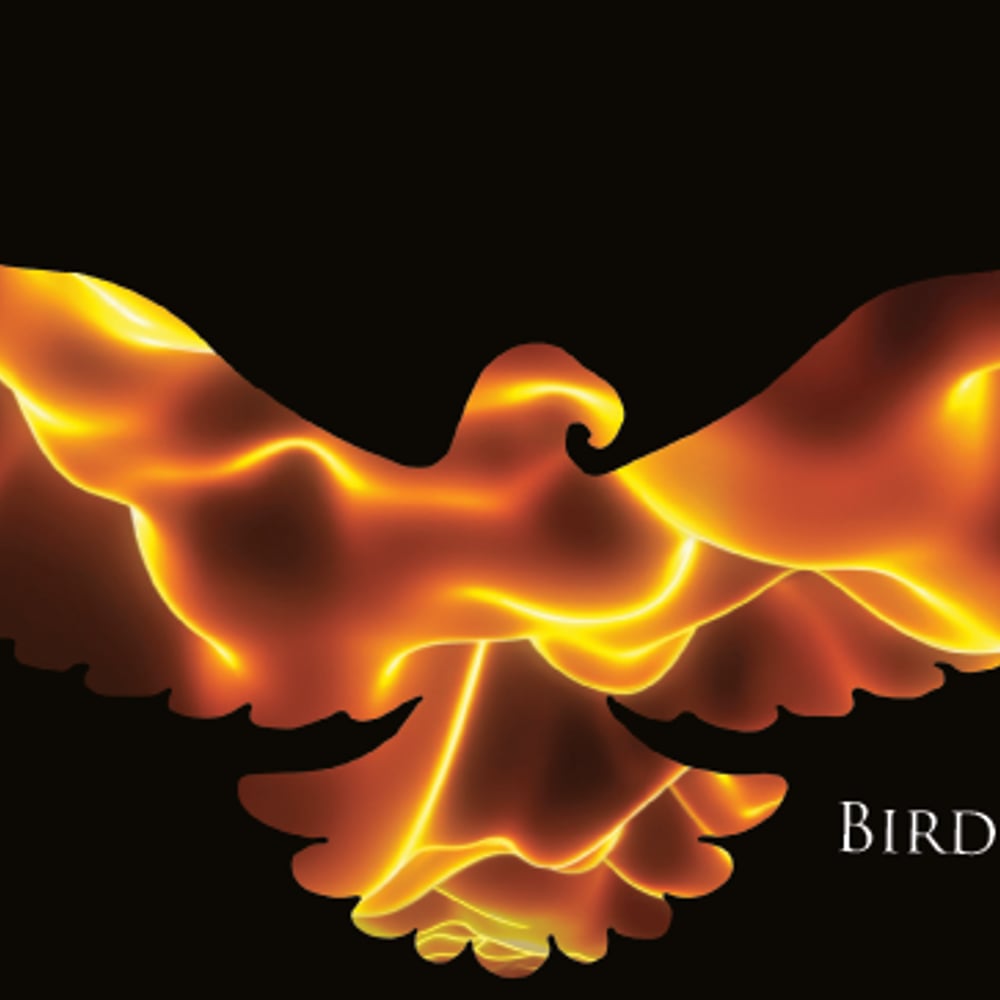 Profile thumbnail image for Birds of the Sun