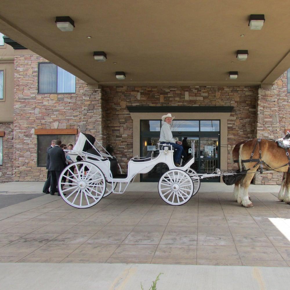 Profile thumbnail image for Carriages of Colorado