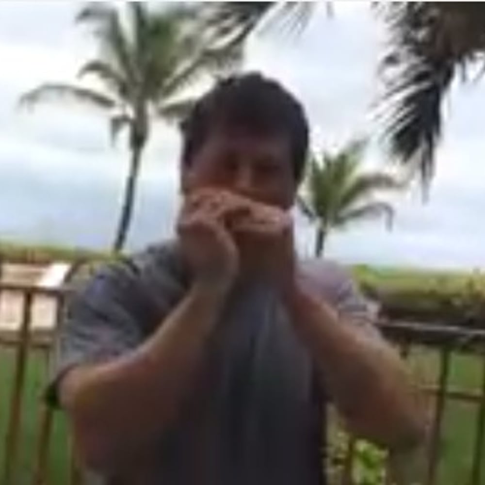 Profile thumbnail image for Dan the Harmonica Man