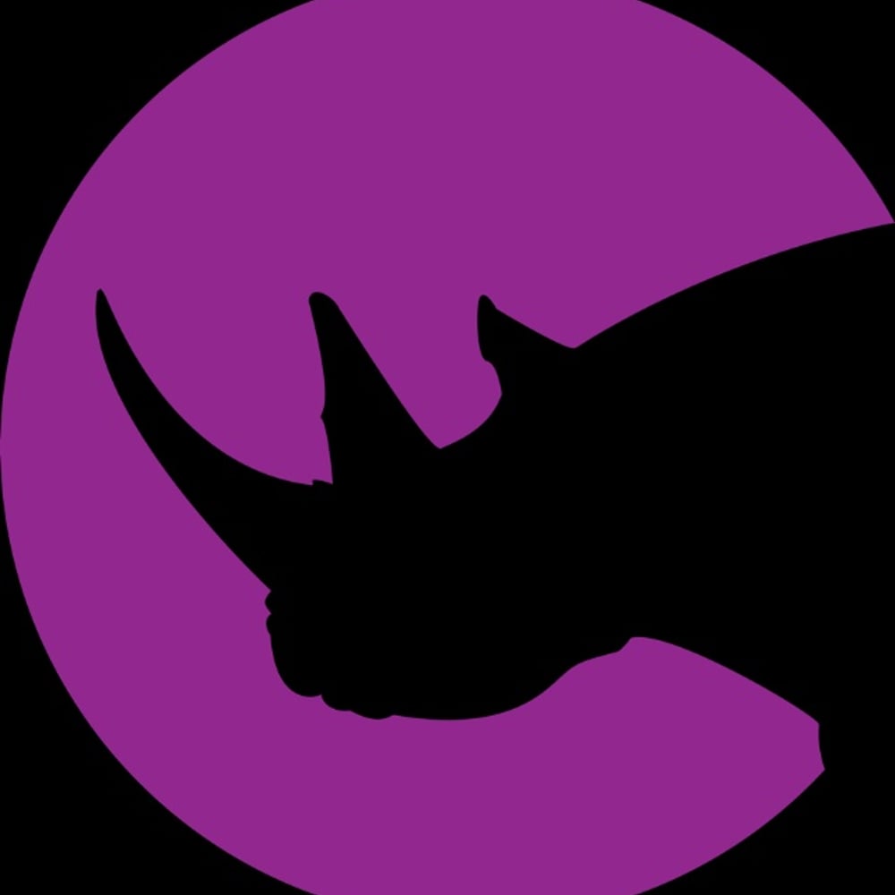 Profile thumbnail image for DJ Rhino