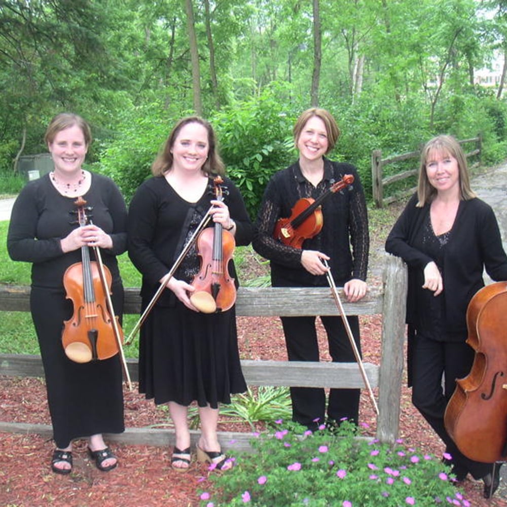 Profile thumbnail image for Lakeside Strings