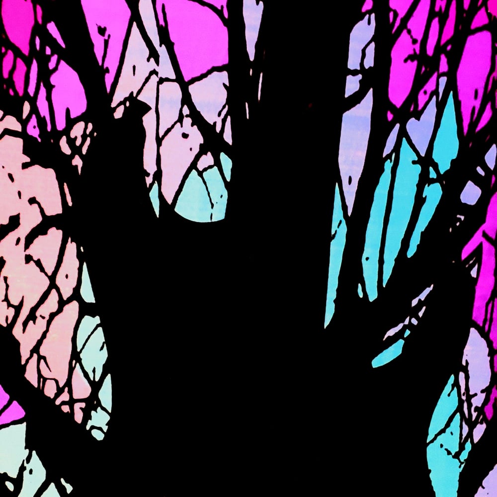 Profile thumbnail image for Renegade Unplugged