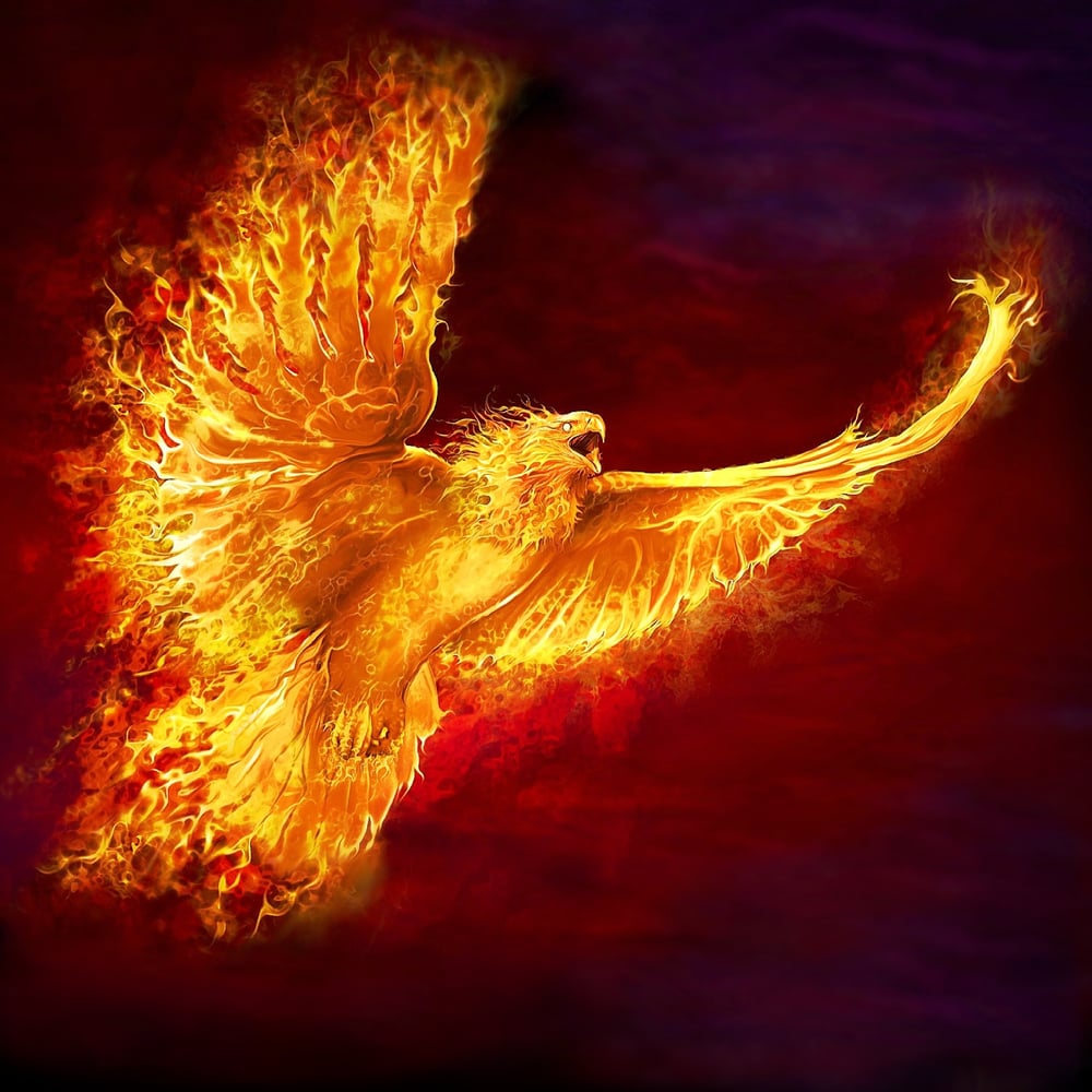 Profile thumbnail image for Rising Phoenix