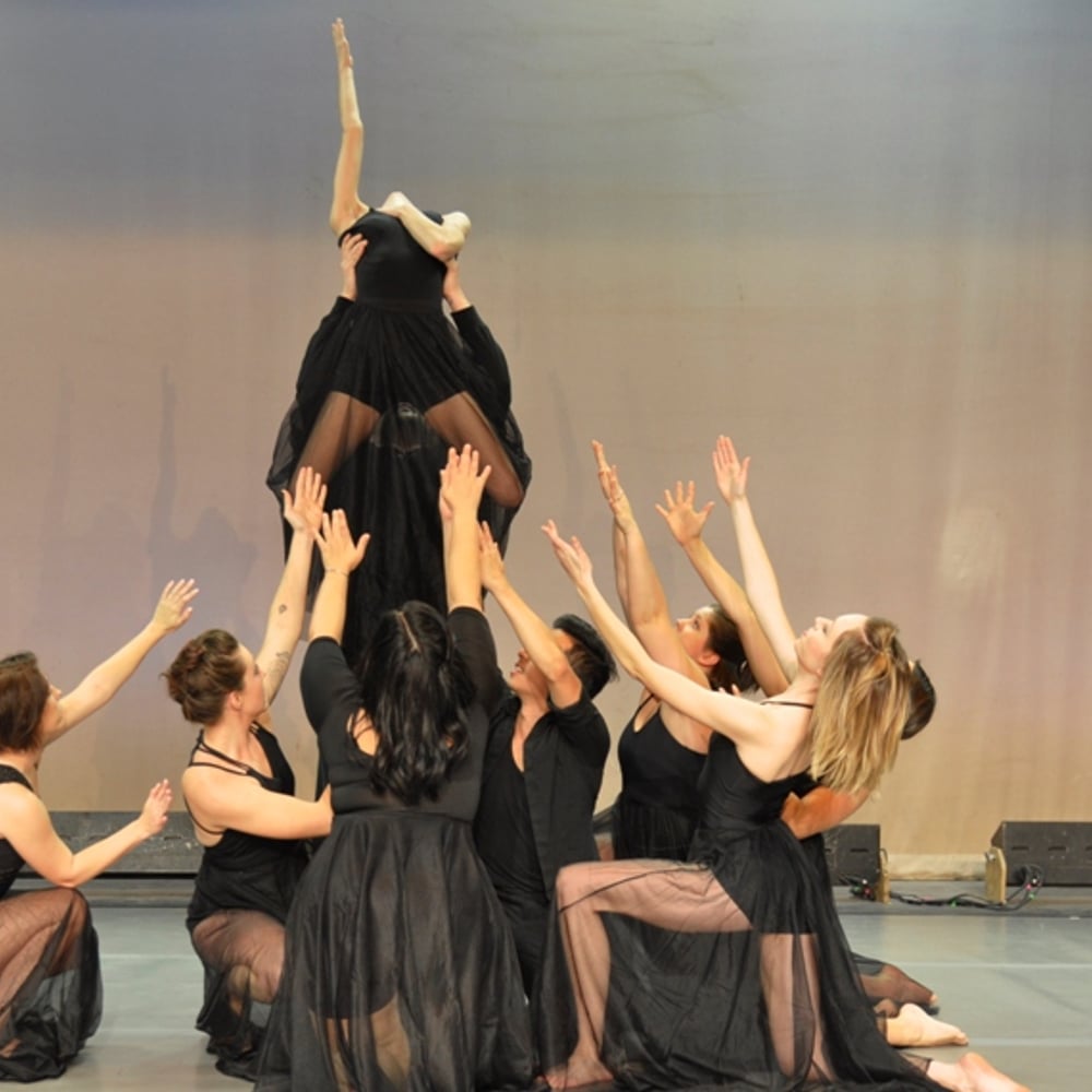 Profile thumbnail image for Springfield Dance Alliance