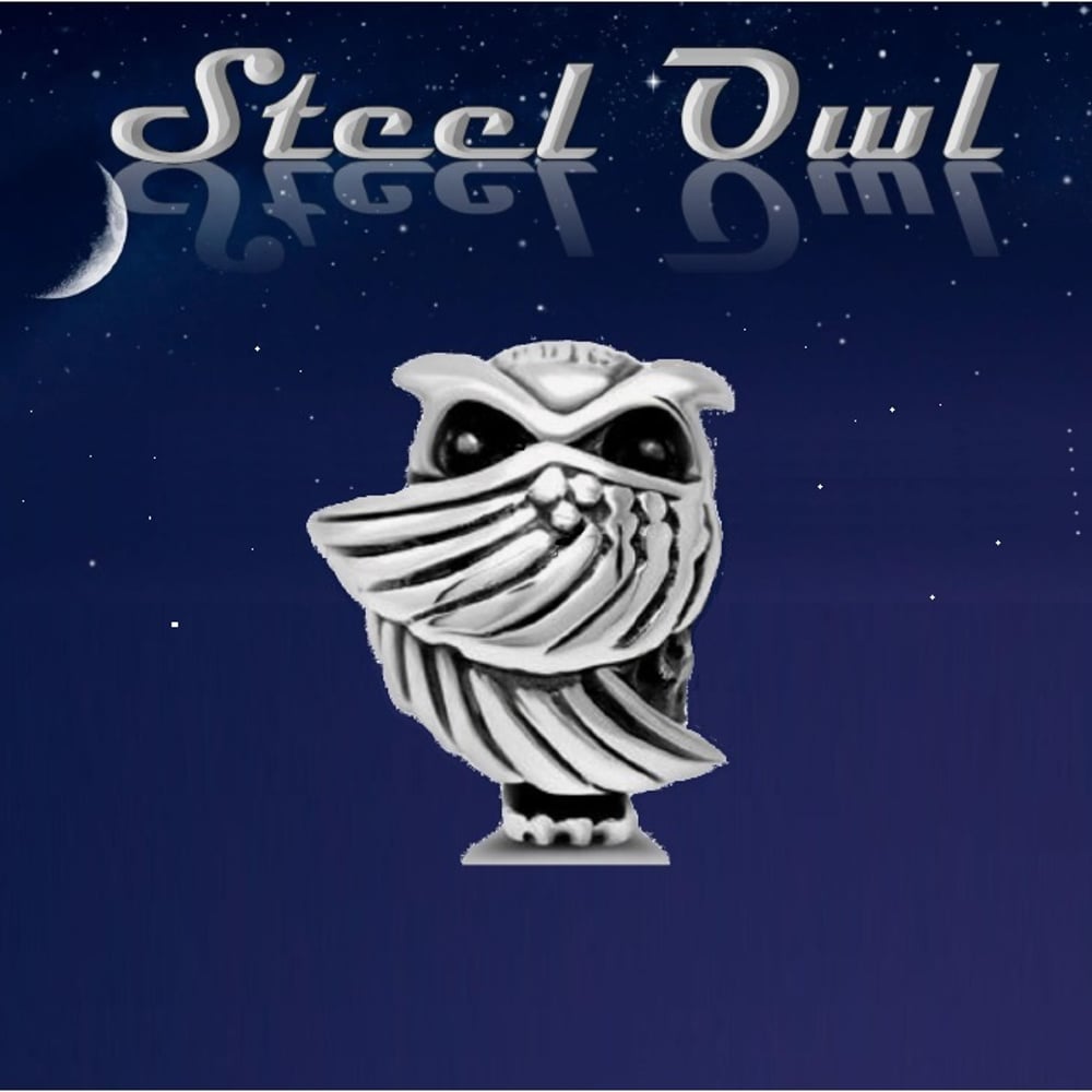 Profile thumbnail image for Steel Owl