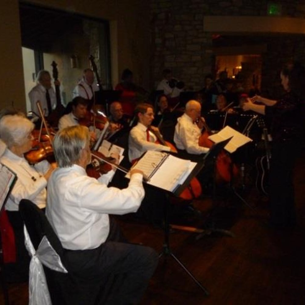 Profile thumbnail image for Strings of the Sonoran, Inc.