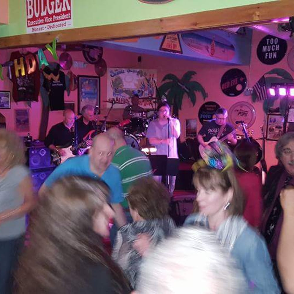 Profile thumbnail image for The Angry Bees