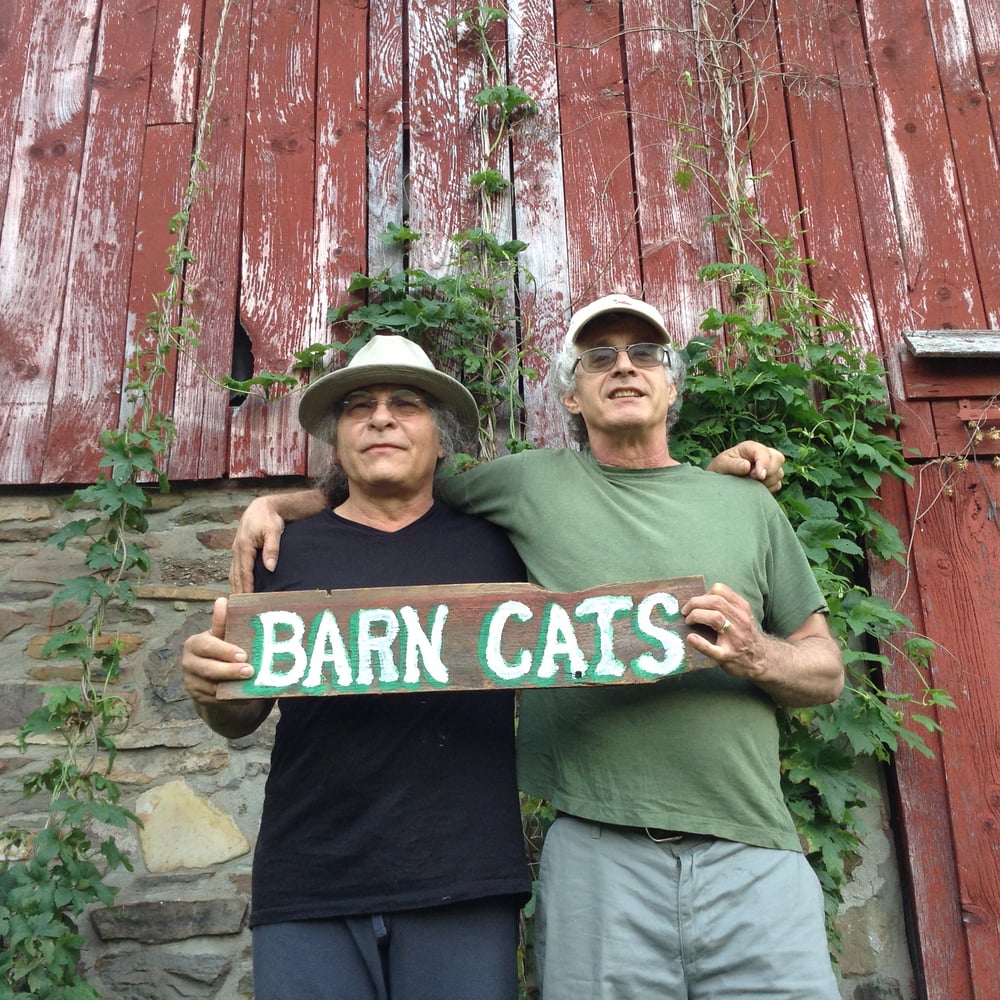 Profile thumbnail image for The Barn Cats