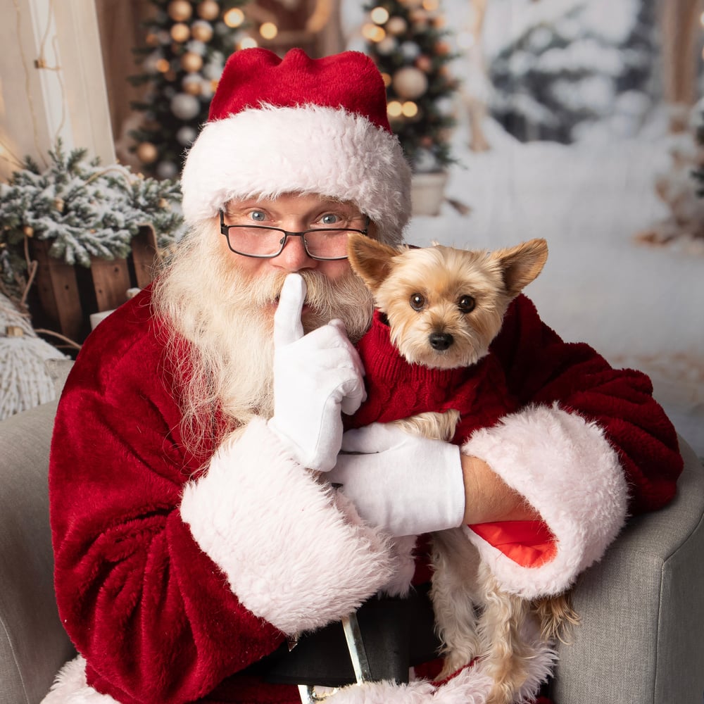 Profile thumbnail image for The O.G. Santa Claus