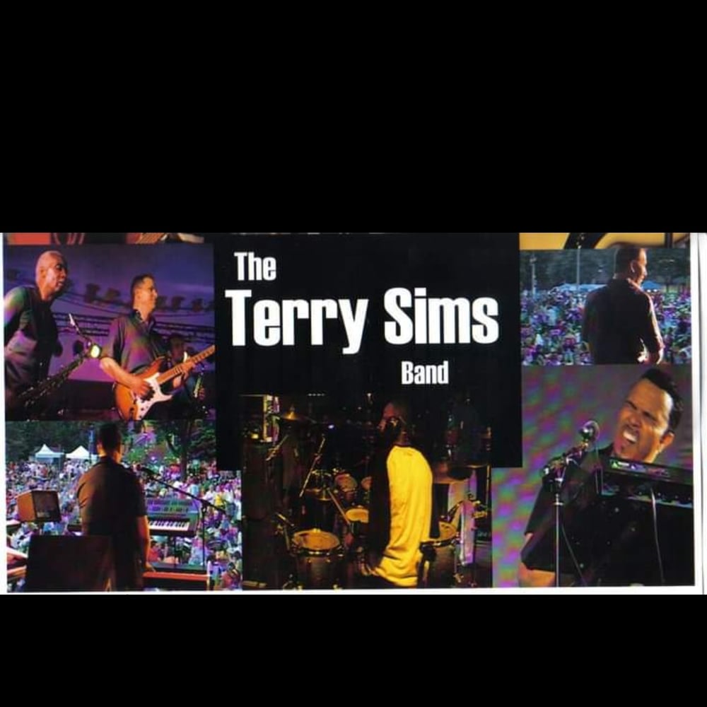 Profile thumbnail image for The Terry Sims band
