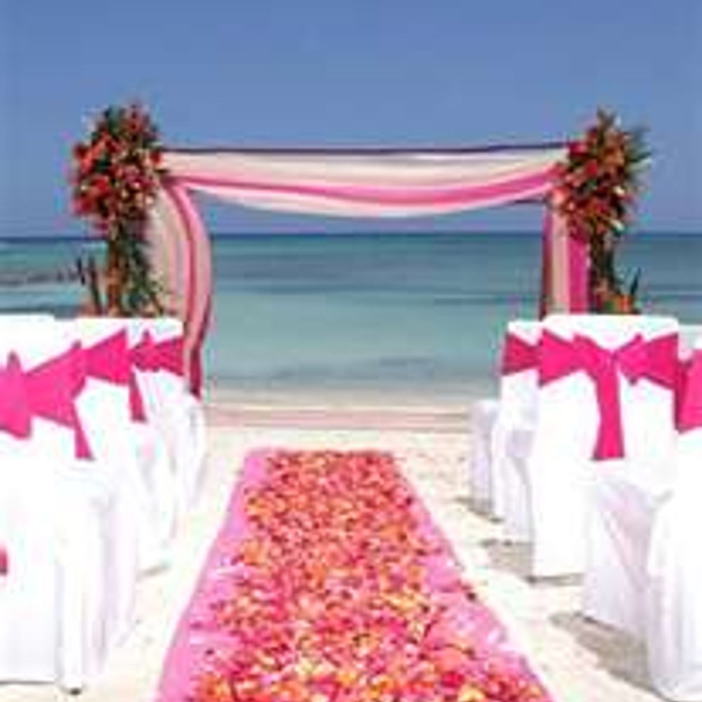 Profile thumbnail image for Weddings by Dianna