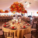 A Plus Party Specialists LLC