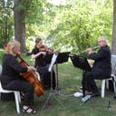 A Touch of Woodwinds