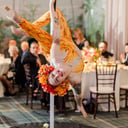 Aerial Acrobatic