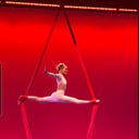 Aerial Artist