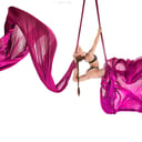Jessica Lynn, Aerial and Performance Art